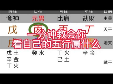 天運五行屬什麼|天運五行(五行命理)